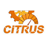 Citrus Auto Parts Logo